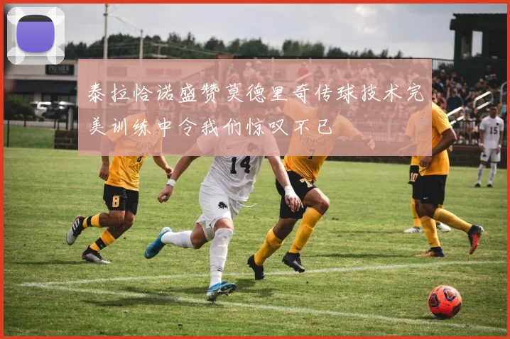 泰拉恰诺盛赞莫德里奇传球技术完美训练中令我们惊叹不已