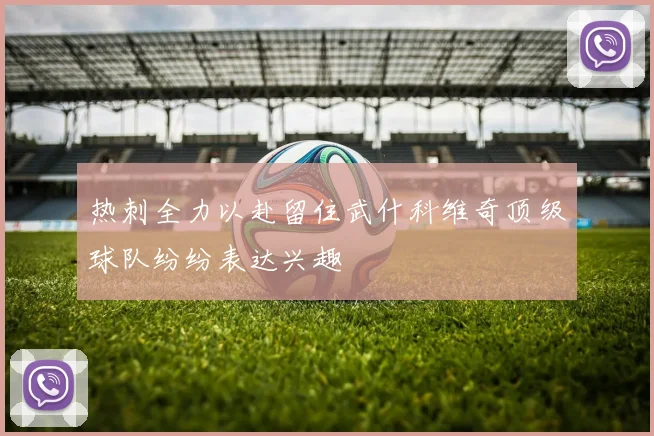 热刺全力以赴留住武什科维奇顶级球队纷纷表达兴趣